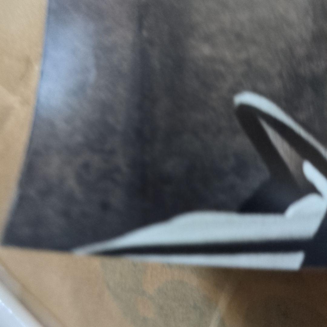 アディダス 2002年サッカーWカップ トルシエ監督 ポスター