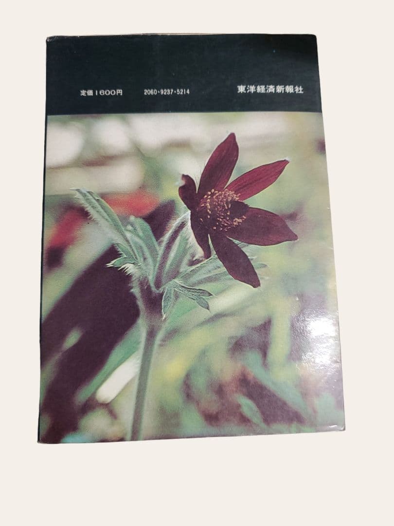 民間薬の実際知識  村上光太郎