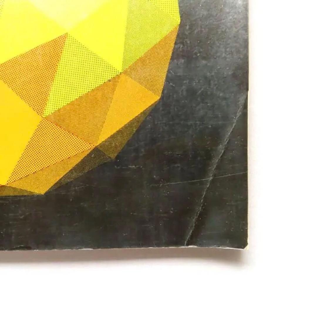 three-dimensional embroidery ３D刺繍　洋書