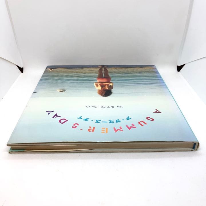 アート・デザイン・音楽 Joel Meyerowitz - A SUMMER'S DAY