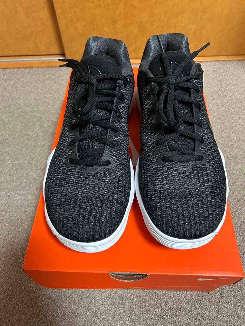 Nike Hyperdunk 2017 Low EP ハイパーダンク2017