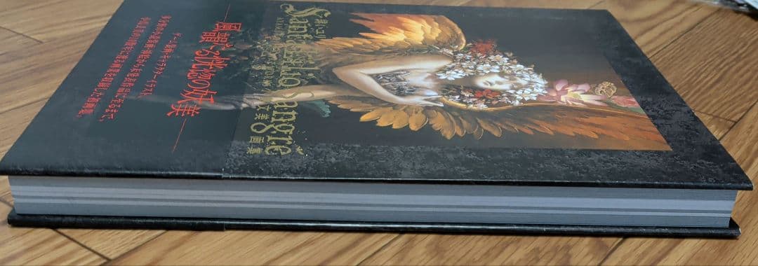 小島文美画集　緋いユリ　Santa Lilio Sangre