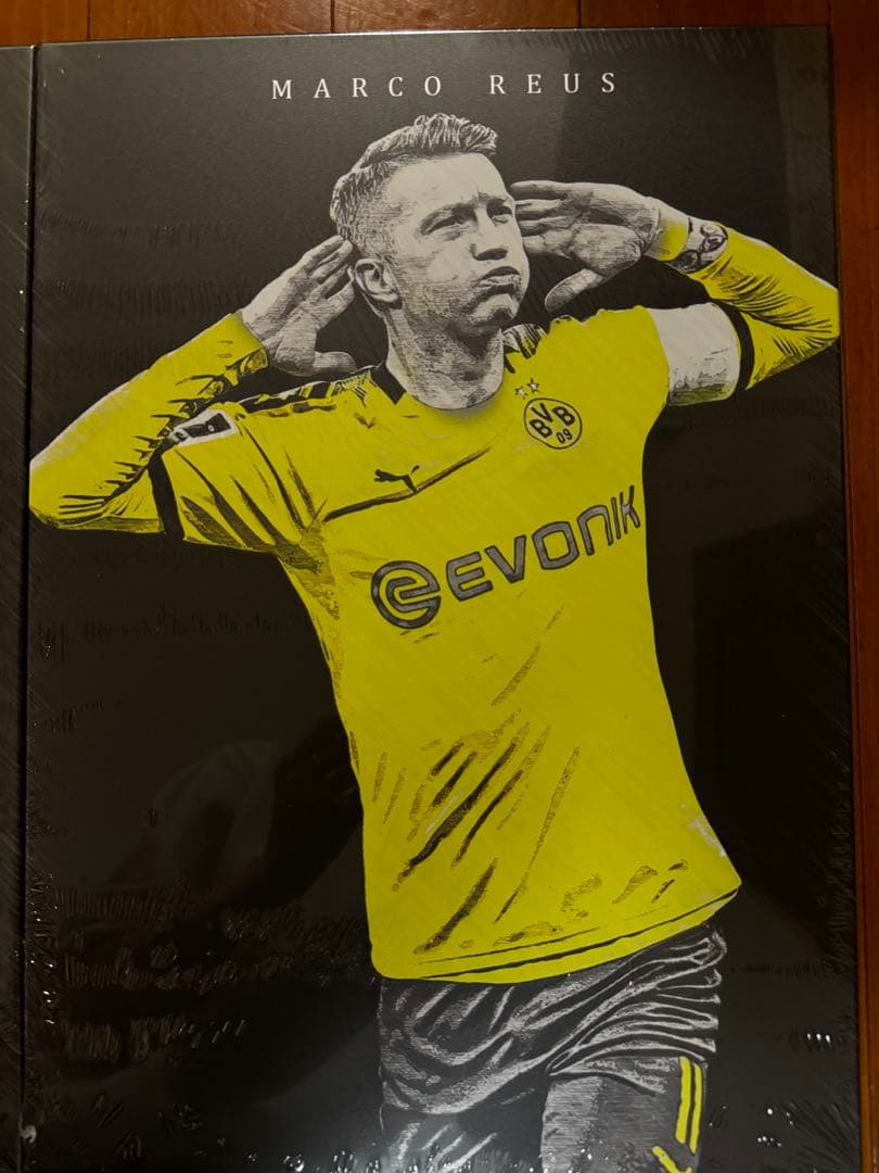 Displate l posters ドルトムント