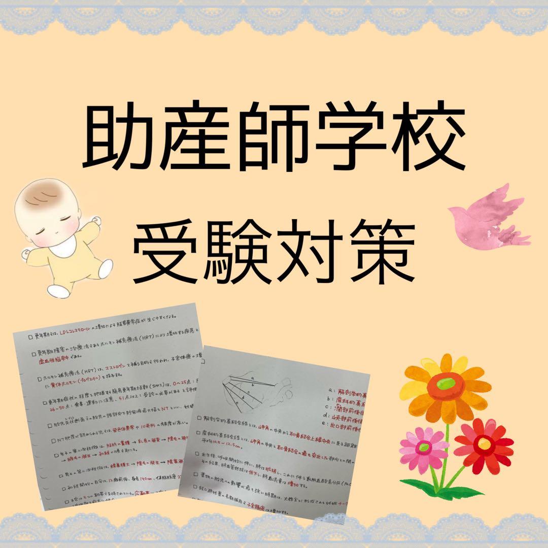 ssm_args2ページ　助産師学校セット