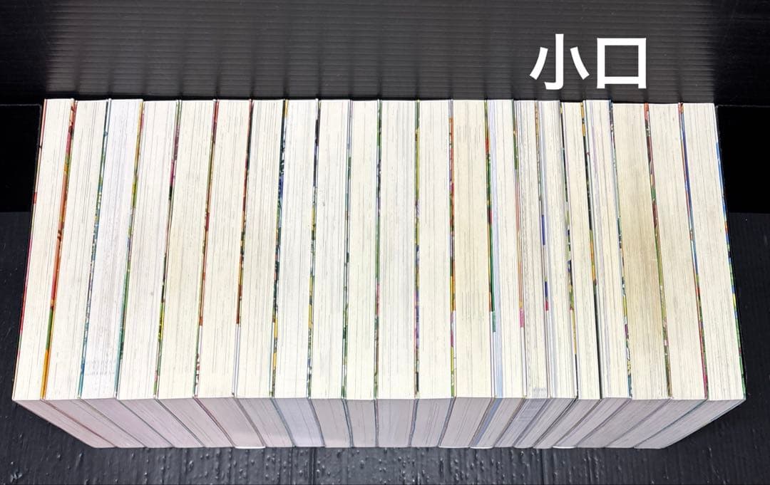 動物と話せる少女リリアーネ 1-12巻 スペシャル 1-4巻 ほか 20冊