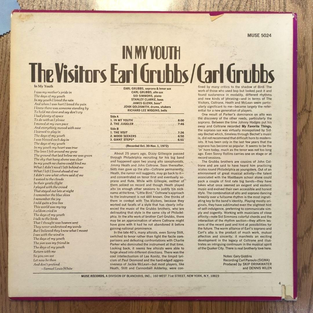 洋楽 The Visitors / In My Youth LP