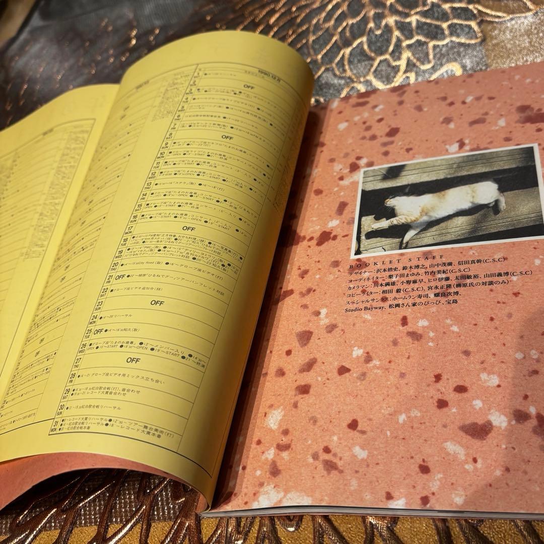 【レア】たま『ひるねでグー』ツアーパンフレット