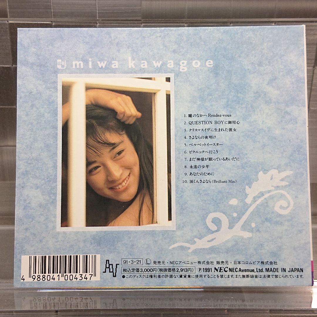 川越美和『～1991～まだ神様が眠っているあいだに』