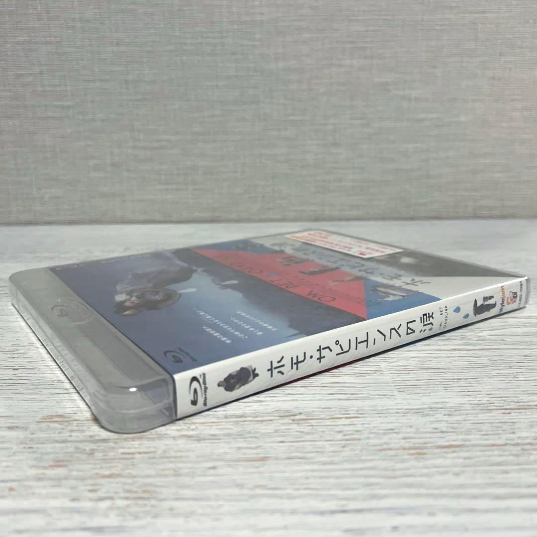 【廃盤 未開封】ホモ・サピエンスの涙('19スウェーデン/独/ノルウェー)