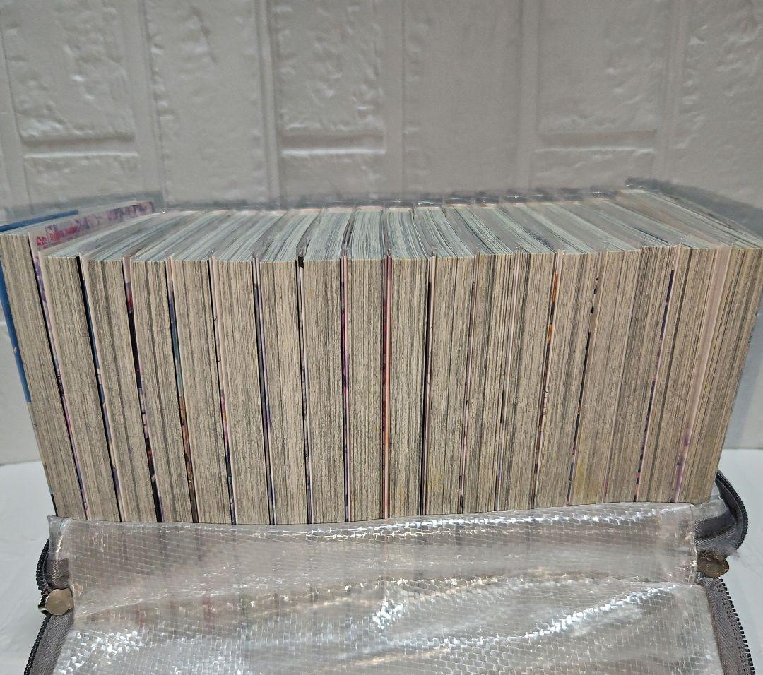 王の獣 １～18巻　全巻セット　完結