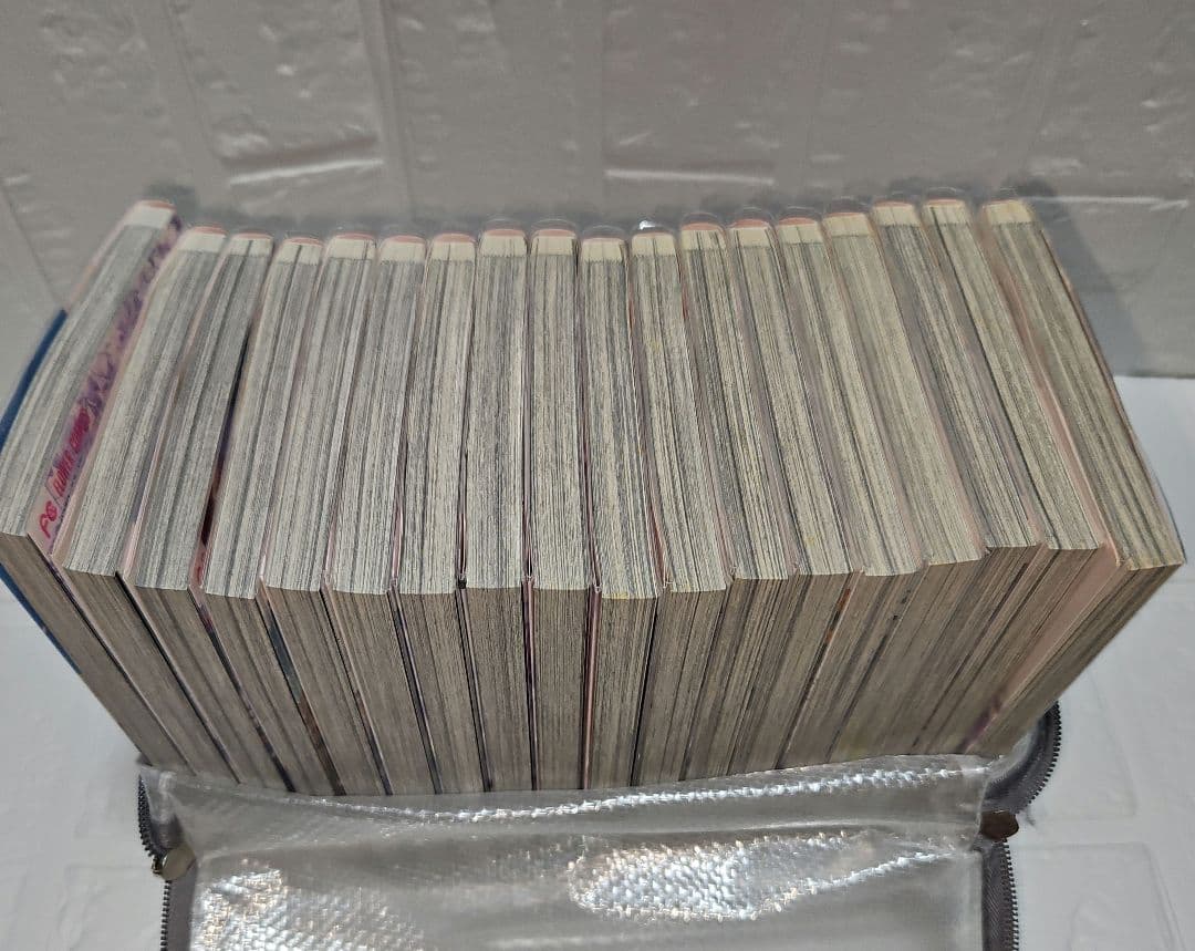 王の獣 １～18巻　全巻セット　完結