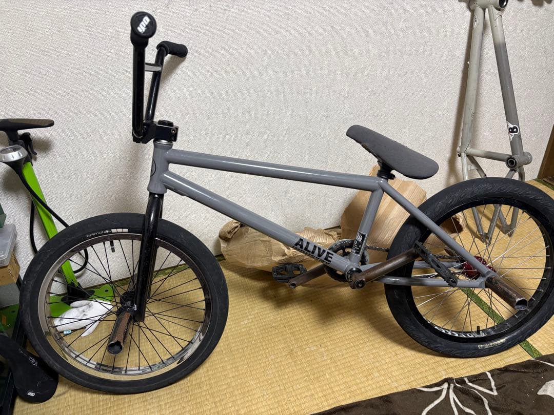 ALIVE INDUSTRY GRAD TYPE1(フレームのみ)