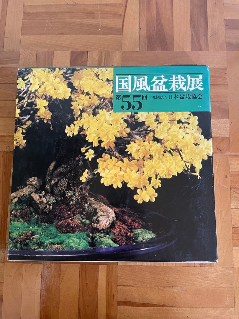 テ*I様 国風盆栽展 書籍セット 55.56.58〜60 62〜64全8巻