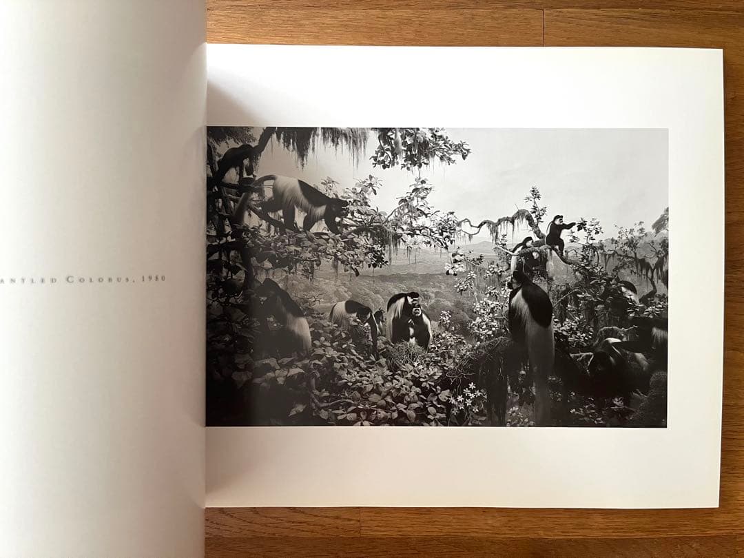 杉本博司 写真展カタログ サイン入り 【SUGIMOTO】1988年初版発行