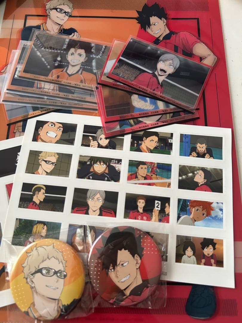 ハイキュー!! ゴミ捨て場の決戦 DVD 豪華版