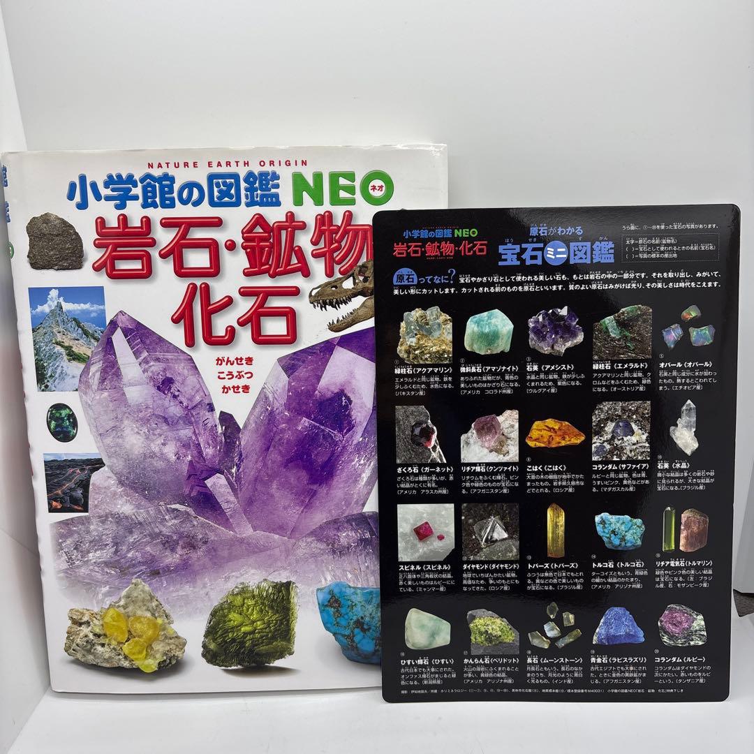 小学館の図鑑NEO 10冊セット