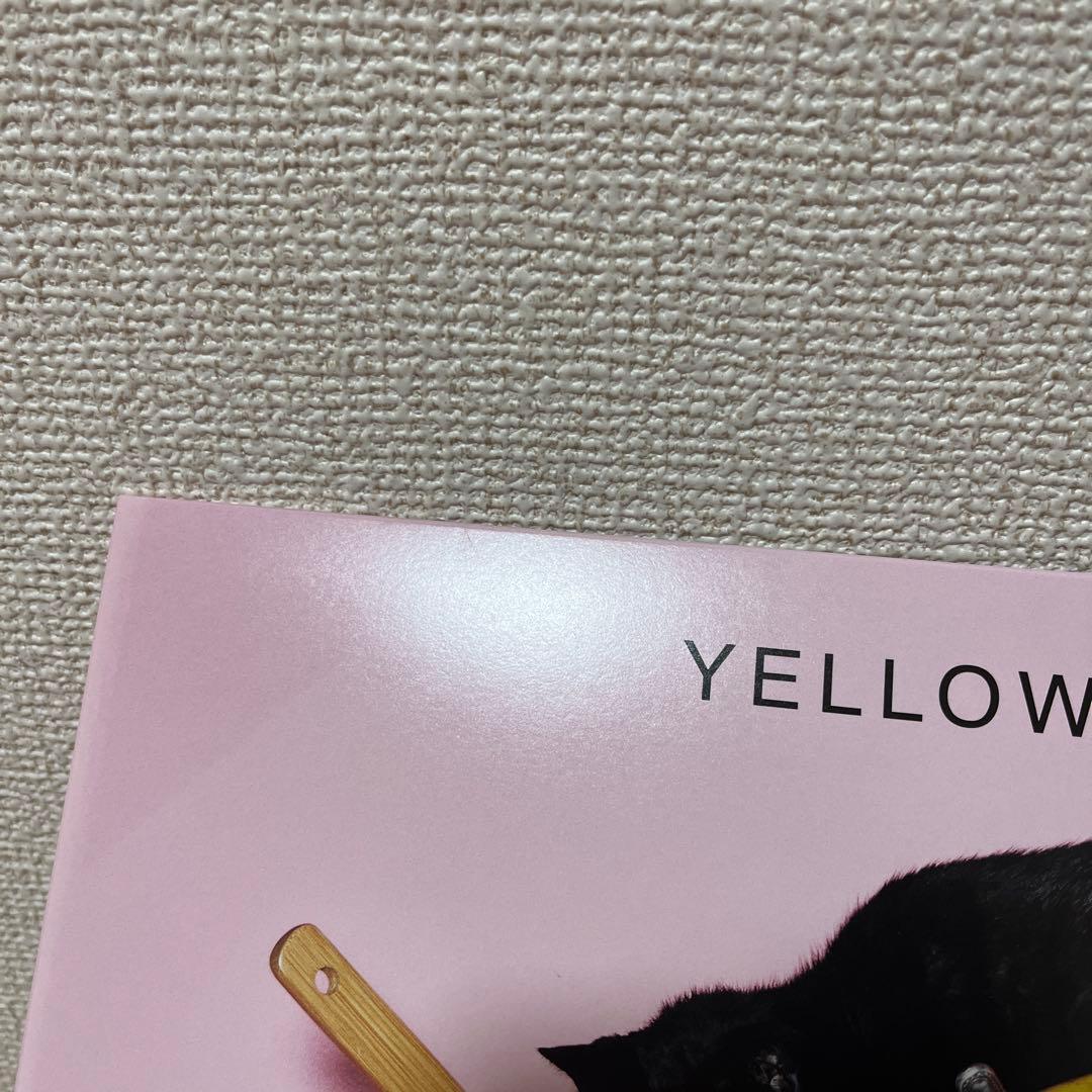星野源 YELLOW DANCER　LP 初回盤