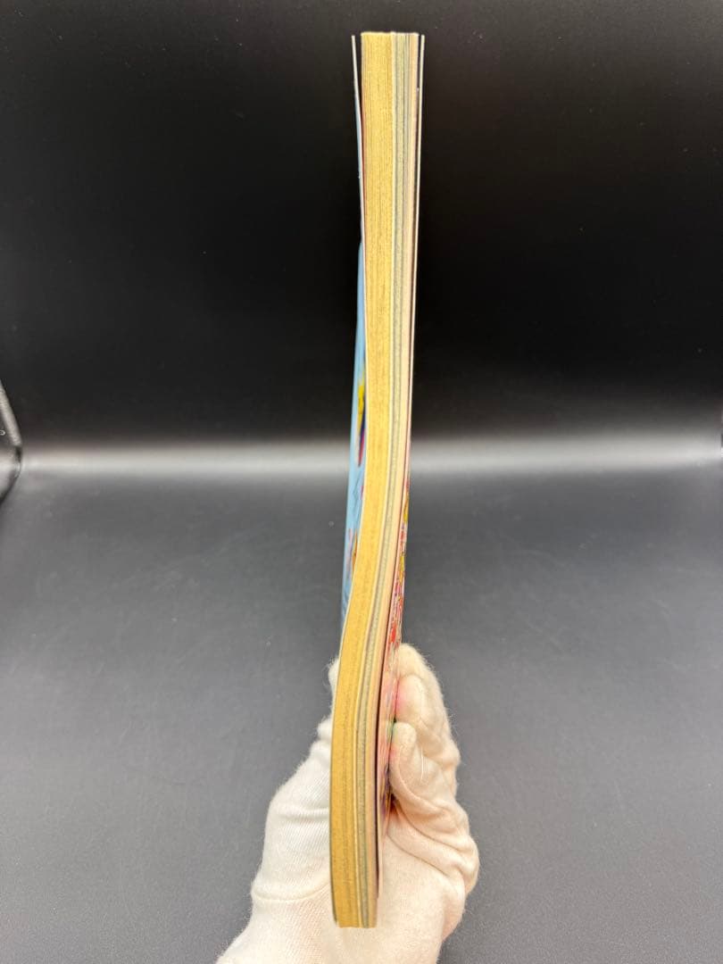 [激レア付属完品] 小学館スペシャル　ポケモンワンダーランド ピカチュウ