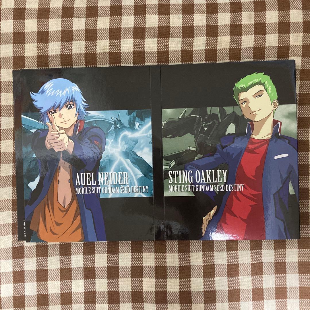 機動戦士ガンダムSEED DESTINY DVD-BOX〈初回限定生産・10枚…