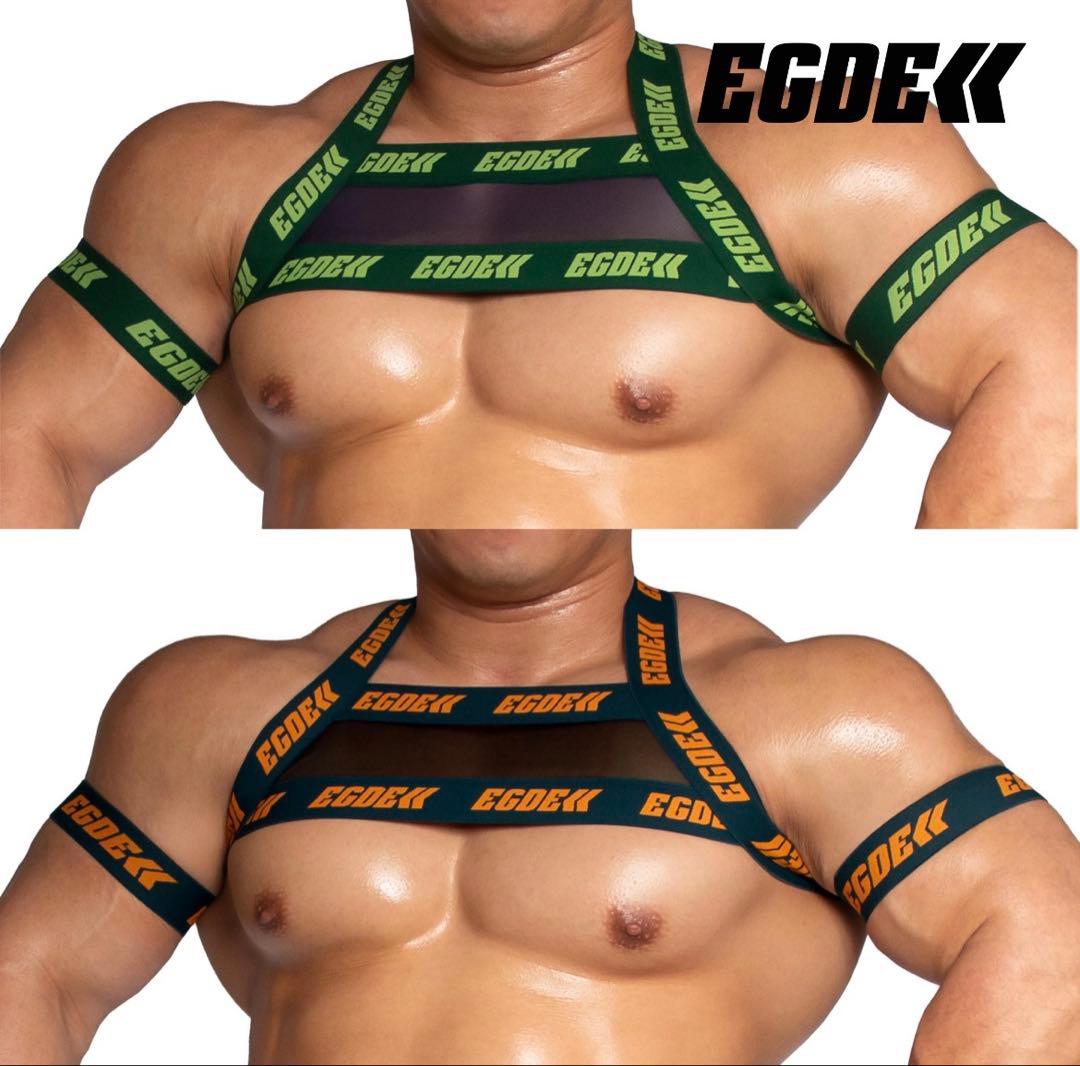 【即購入ok!!】『MOTION』ハーネス＆アームバンドset