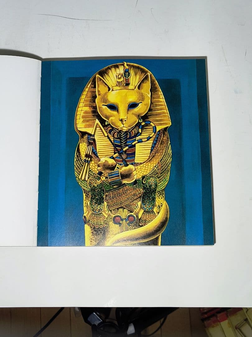 GATTO LAVORI 名画や映画の人物に猫が扮する楽しい画集　イタリア語