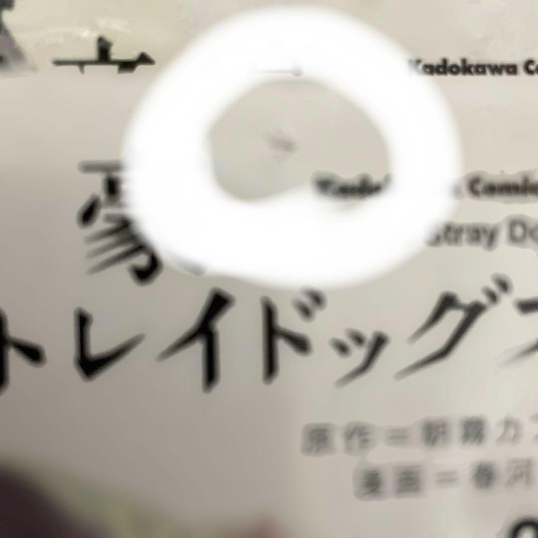 文豪ストレイドッグス25巻＋文豪ストレイドッグスわん！12巻＋11巻セット