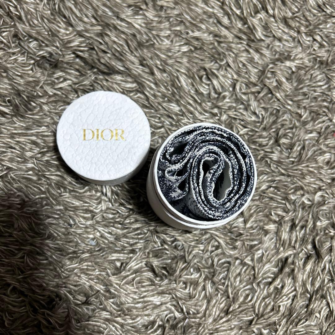 Dior ミッツァ スカーフ　トワル ドゥ ジュイ