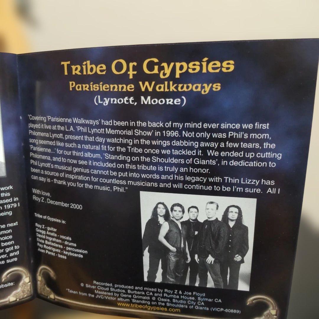 the spirit of the black rose（シンリジィトリビュート