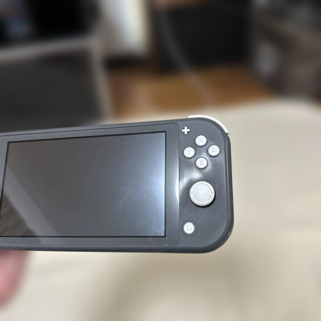 Nintendo Switch Lite グレー　箱、収納ケース付き