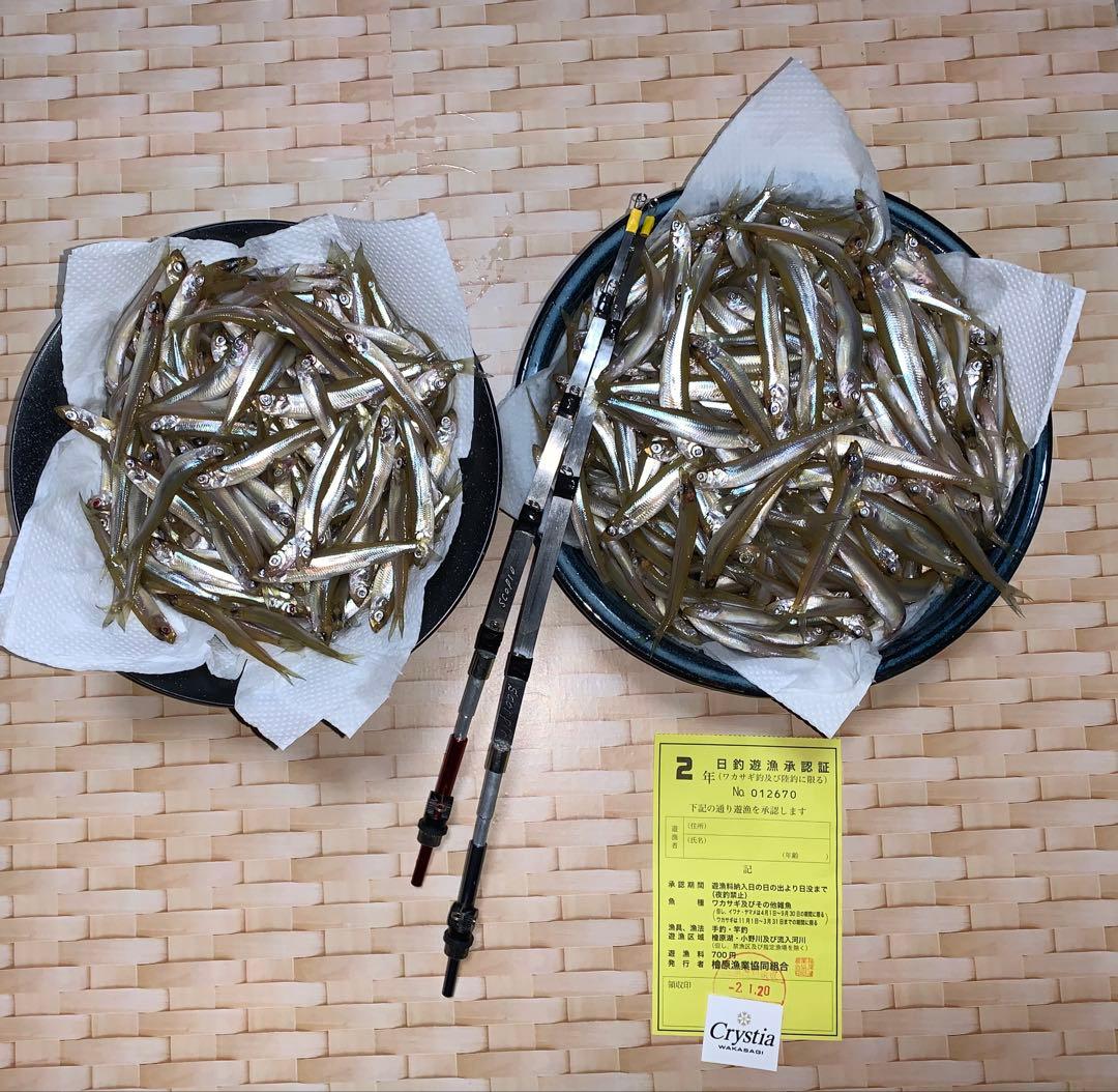 ワカサギ釣り　ステンレス穂先　 ２本　全長約 250ミリ