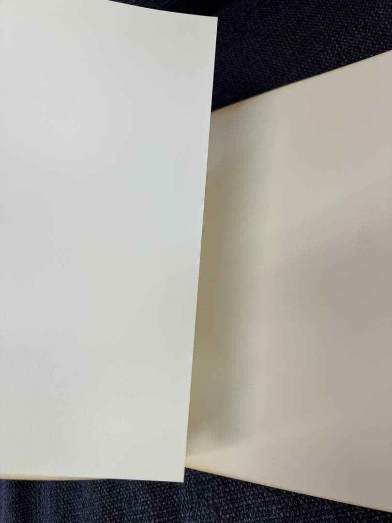 1999年よみがえる日本の近代 石塚三郎旧蔵 明治・大正ガラス乾板写真　趣味雑誌