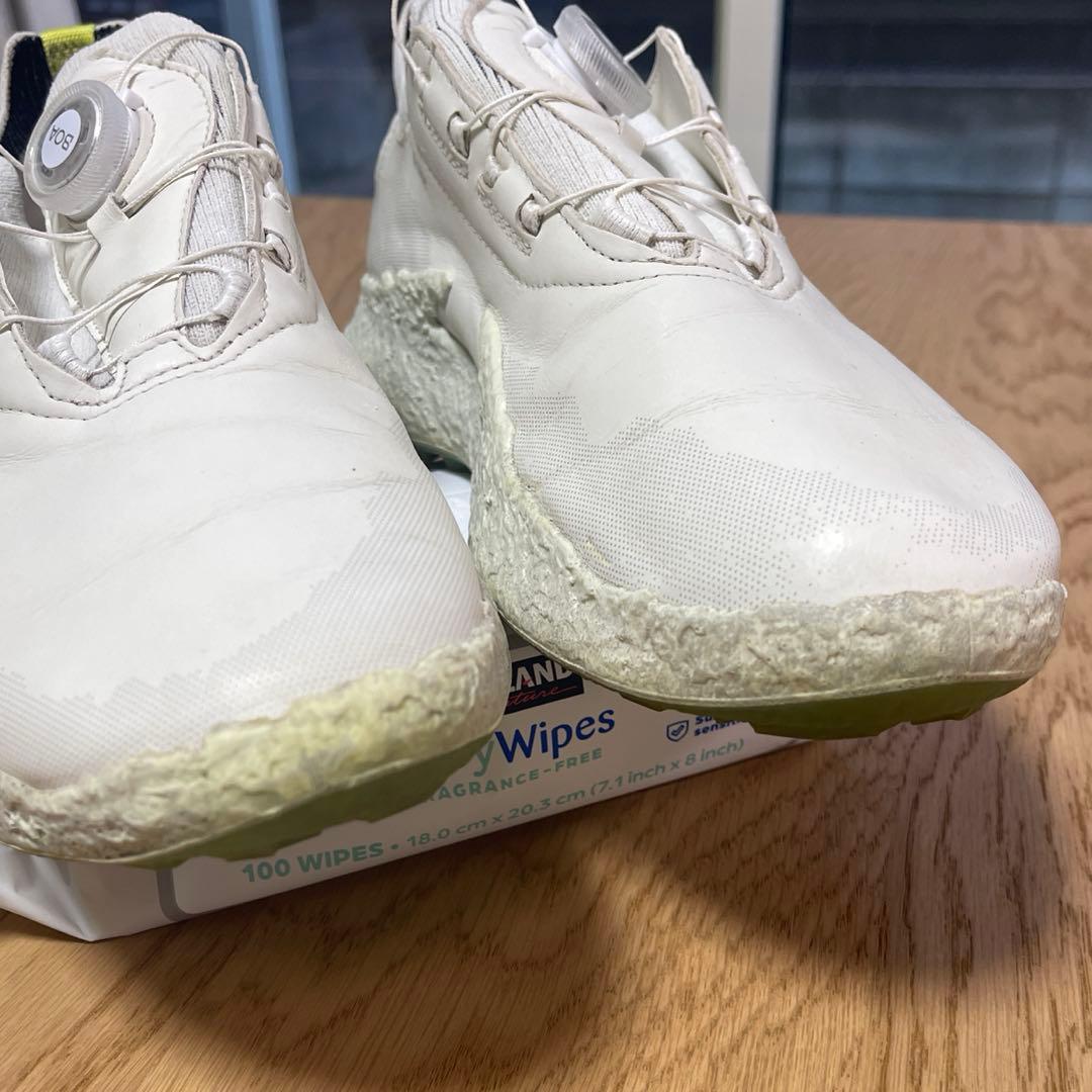 ★ECCO(エコー)Golf Biom H5 Hybrid 41★