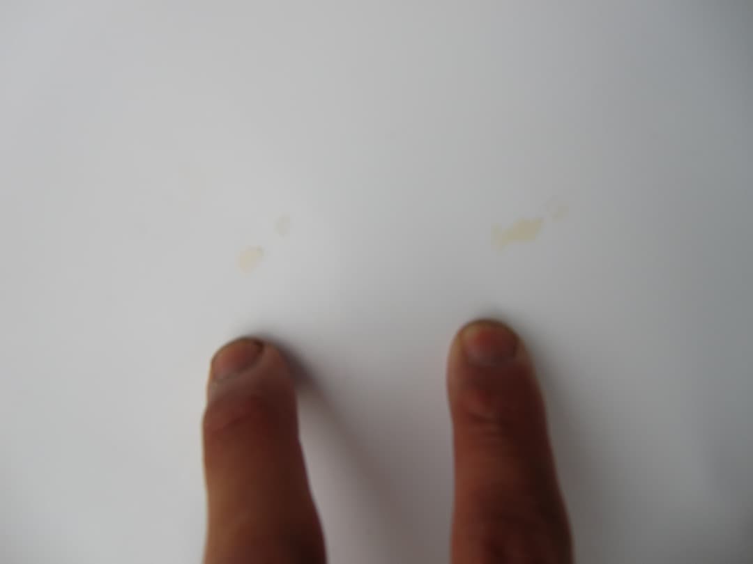 訳ありプレセボ　PLACEBO サーフボード