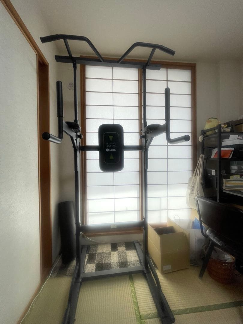 HAIGE ハイガー ぶら下がり健康器 懸垂マシン プラップバー