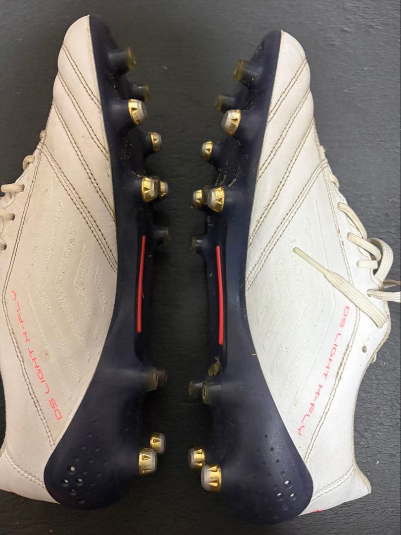 asics DS LIGHT X-FLY 取り替え