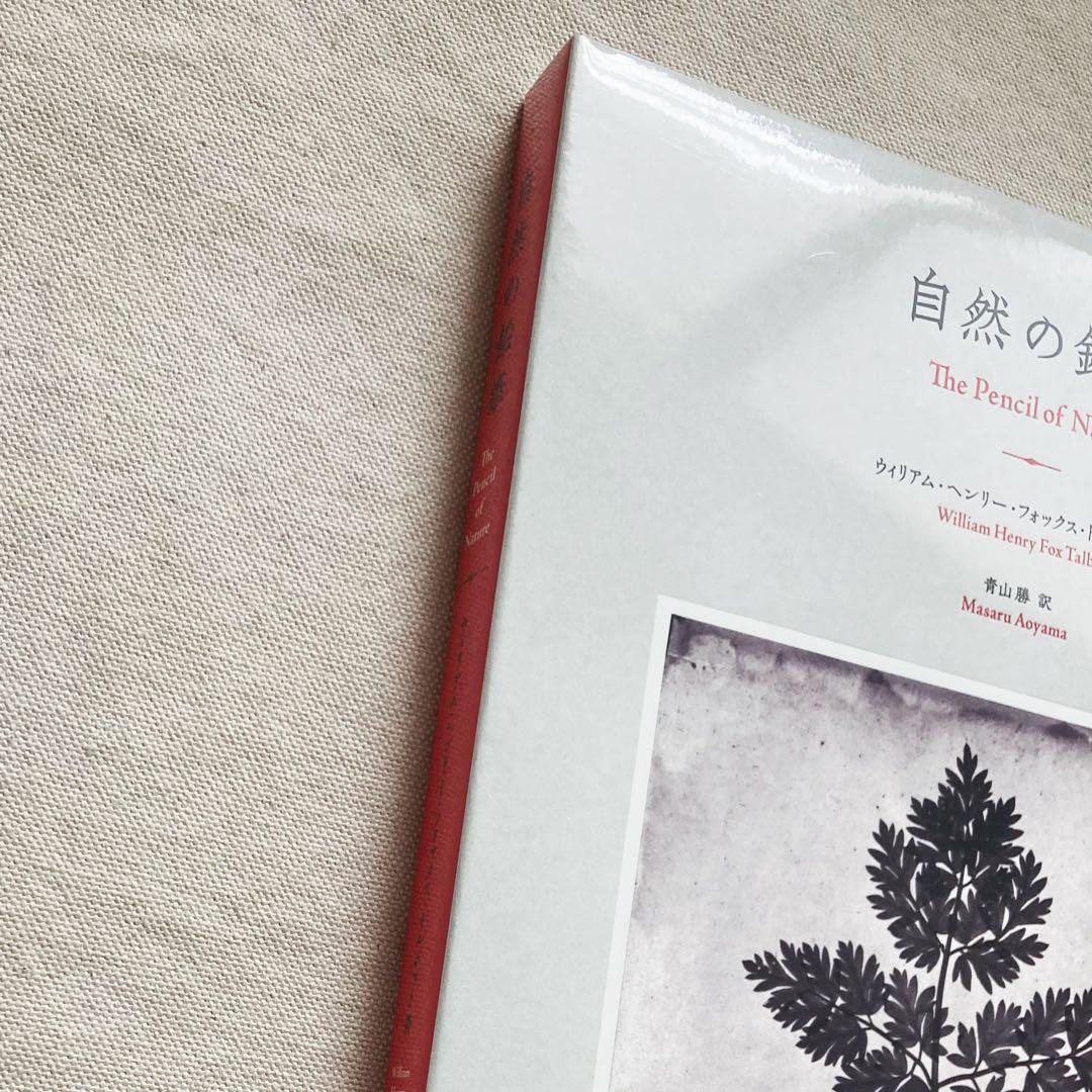 William Henry Fox Talbot ｜自然の鉛筆