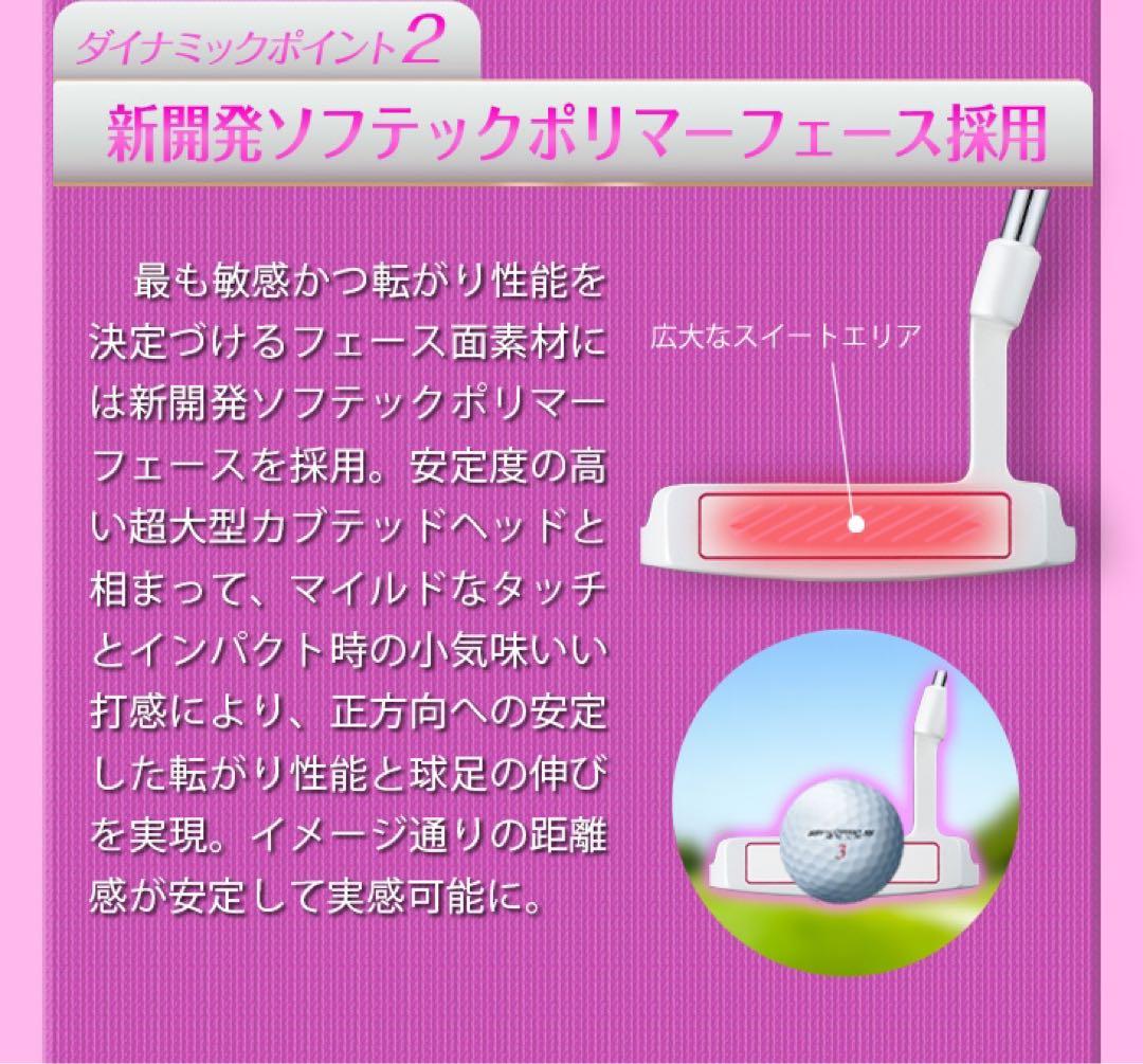 新型新発売♥️極太グリップと大型ヘッドの安定感抜群のダイナミクスレディスパター