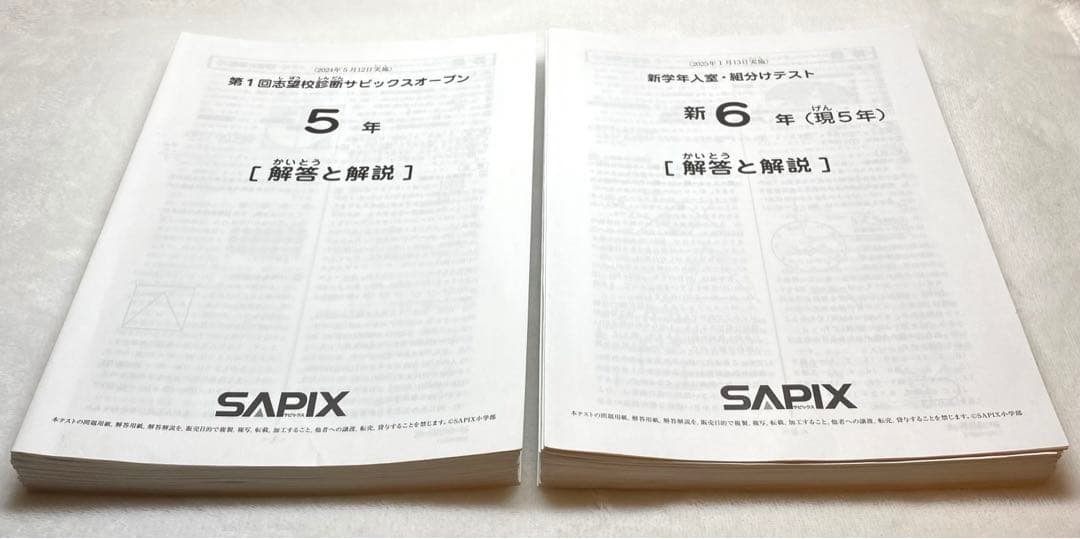 サピックス 5年 2024年マンスリー確認テスト 組分けテスト 全10回分セット