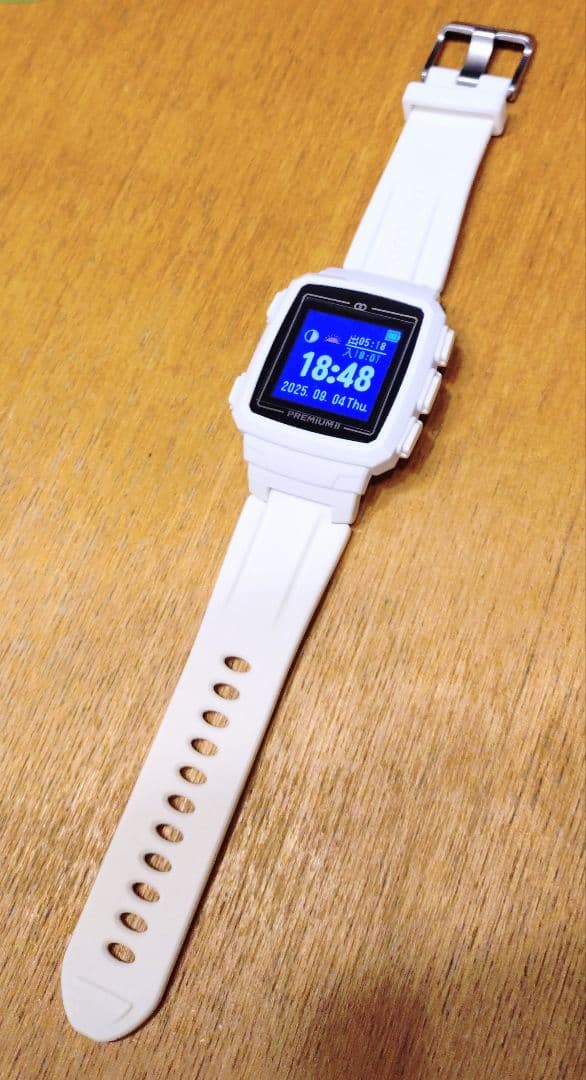 値下げ！美品！保護フィルム付！グリーンオン　ザ・ゴルフウォッチ　プレミアムⅡ