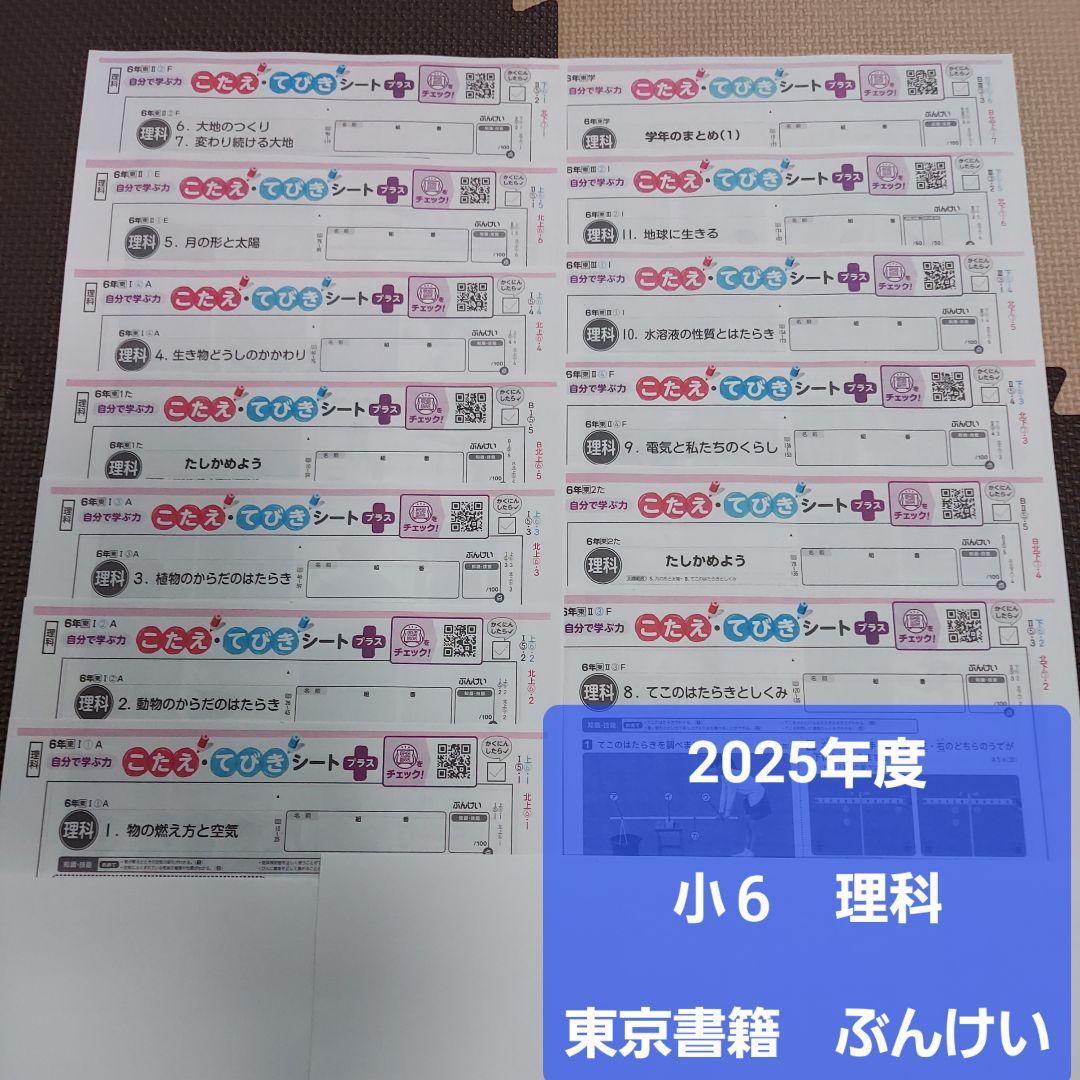 user_85c9bdb5商品　6年生国語 算数 理科 社会