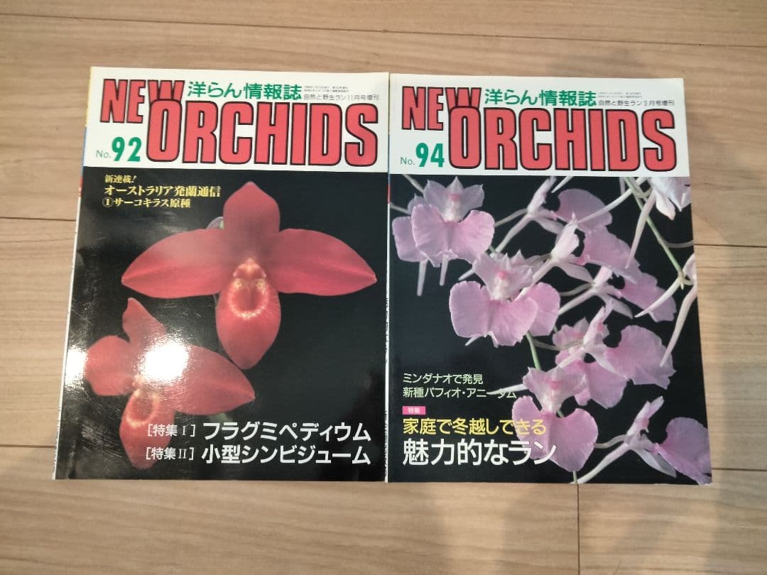 趣味の洋ラン　 ニューオーキッド10冊 洋蘭雑誌　洋ラン雑誌　フラグミペディウム