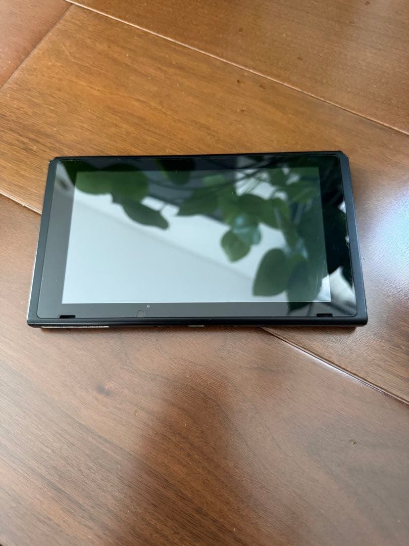 Nintendo Switch 本体 グレー(プロコン2つ・携帯ケース付き)