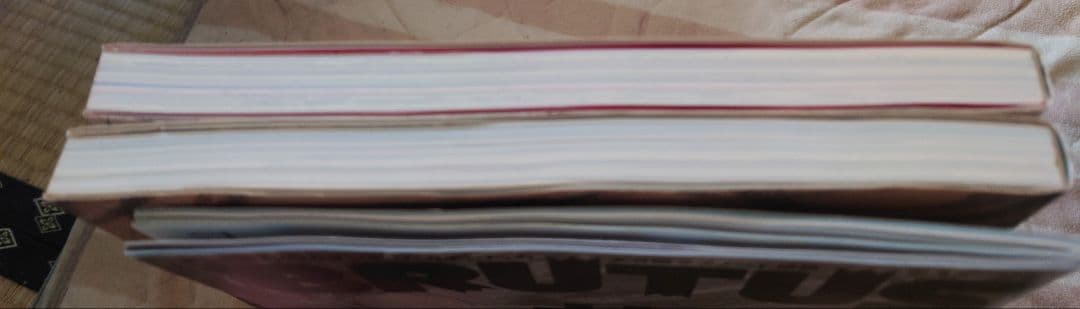 井上雄彦 画集2冊 BRUTUS1冊 セット