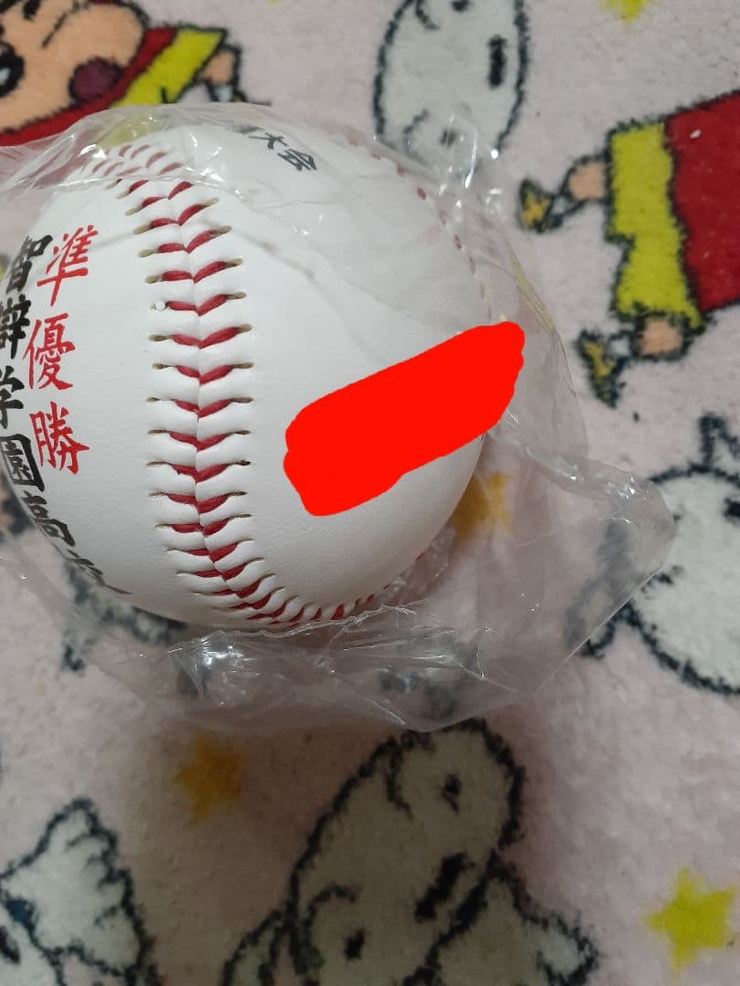 智辯学園　準優勝　記念ボール　前川右京