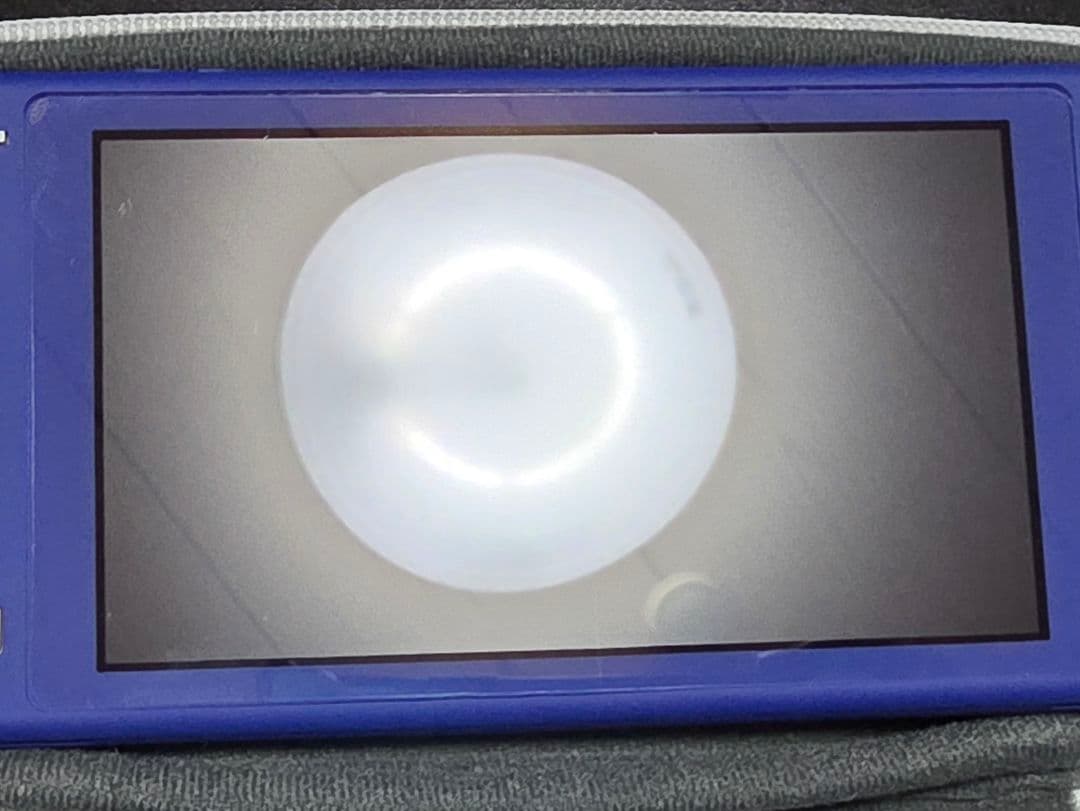 Nintendo Switch Lite パープル 専用ケース付き