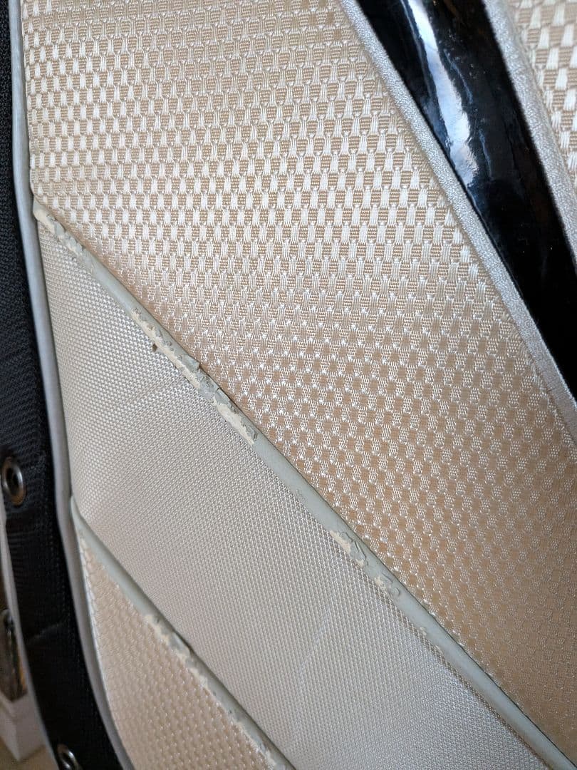 Nike ゴルフバッグ・キャディバッグ ベージュ/シルバー/ブラック