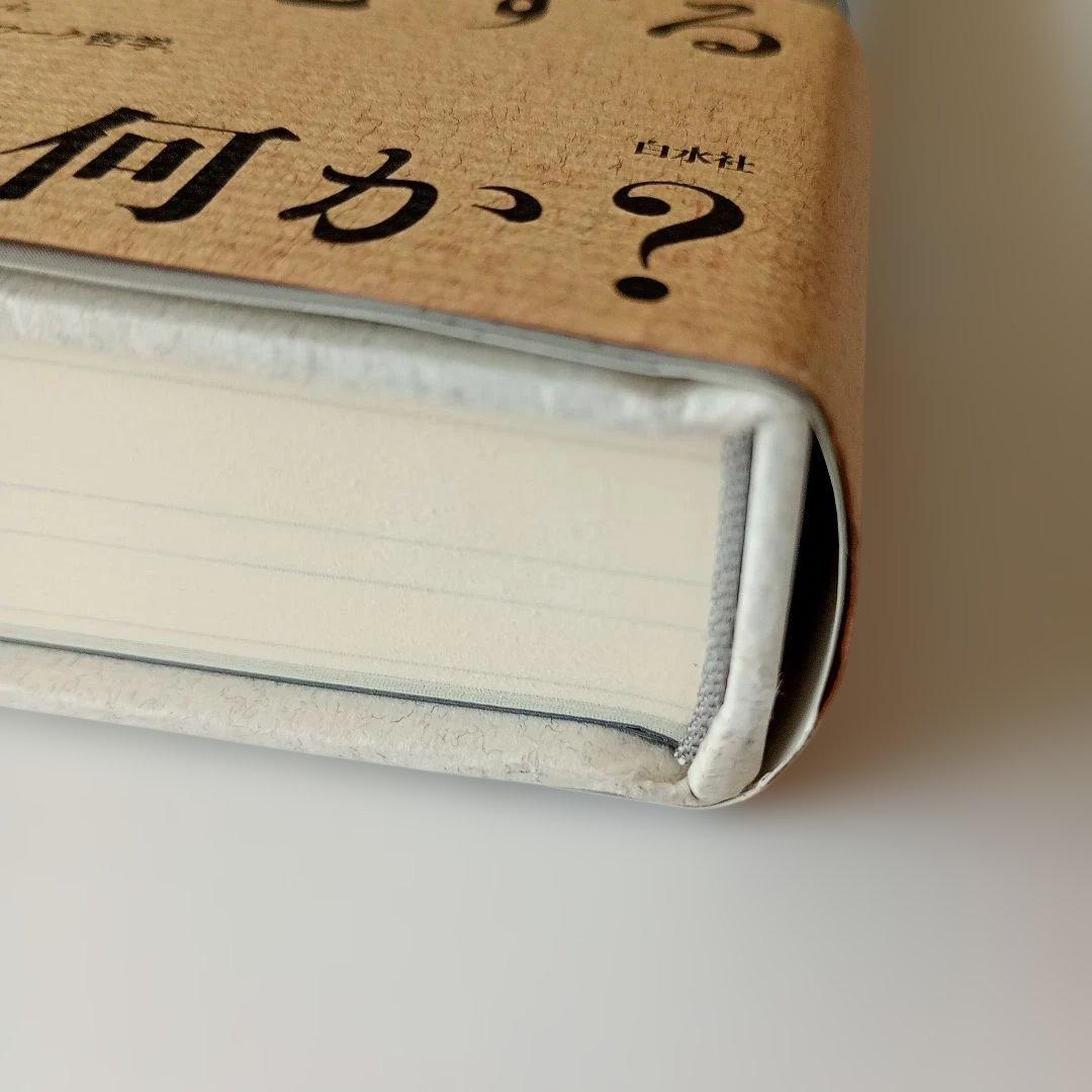 ミシェル・セール 普遍学からアクター・ネットワークまで　帯ありハードカバー単行本