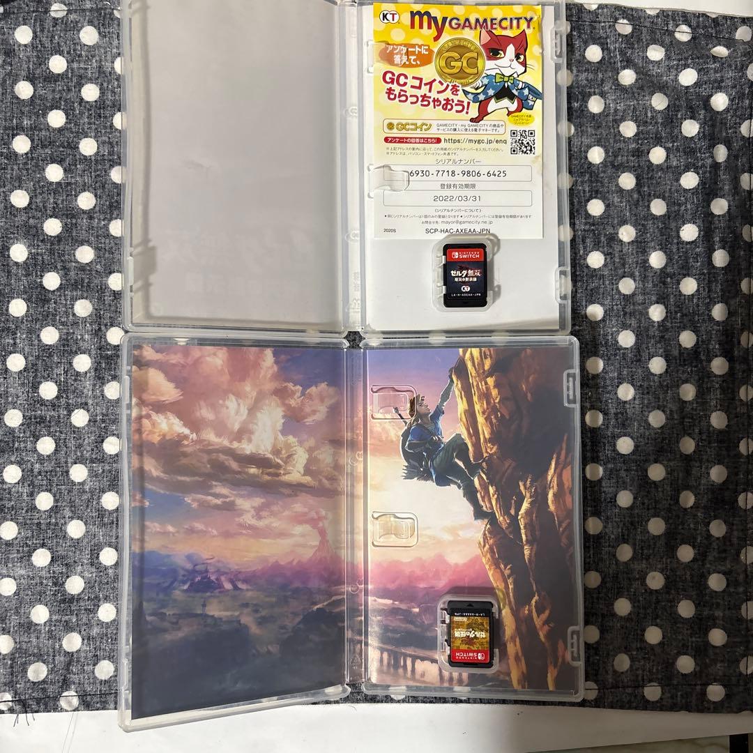 Switch ゼルダの伝説 ブレス オブ ザ ワイルドと ゼルダ無双