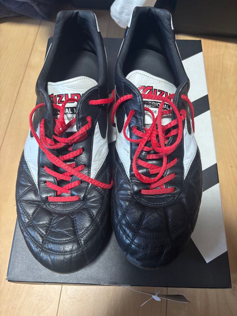 モレリア2Japan クロスステッチ