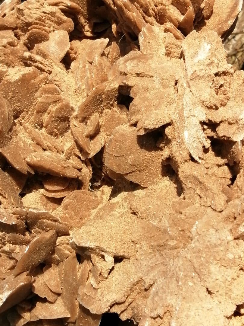 デザートローズ（砂漠の薔薇）原石 9.9kg ーtotー003